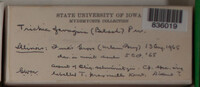 Image Associated With the Occurence